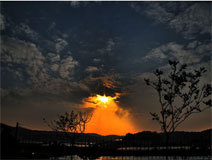 �Ӱ� �;�� �Ϸ�