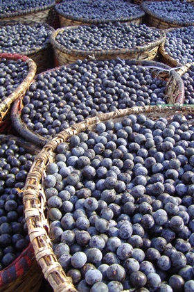 �ƻ��̺���