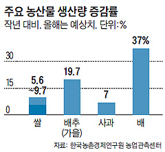 ֿ 깰 귮  ׷