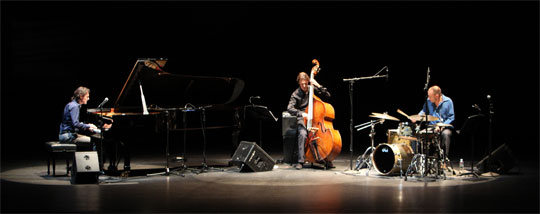 �����Ǿ� ���� Ʈ����