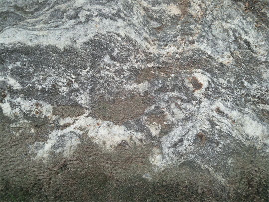 '�� ���� ����', 2013, ������ �������� ��ĵ�