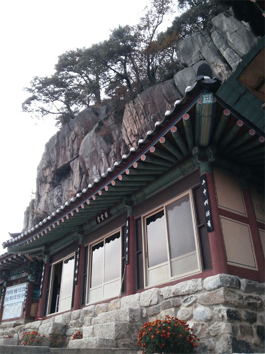 �ǻ��簡 �����ߴٴ� �����