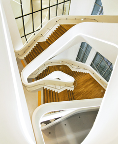 ������ �ѷ���, ���� ���