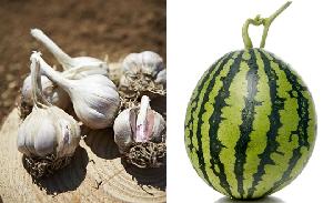 ���� ����