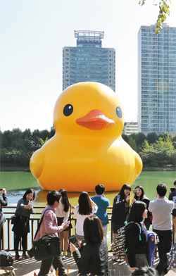 14  ı ȣ ִ    (rubber duck)  ùε   ִ