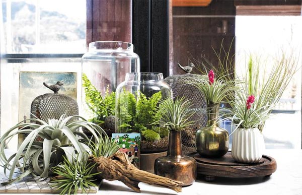 �����ϰ��縮�� ä������ �׶󸮾��� �Ѹ��� ��� ���� �� ũ�� ���߽Ĺ��� ���񡤱׸� ��� �Բ� �θ� ������ ���Ⱑ ����.