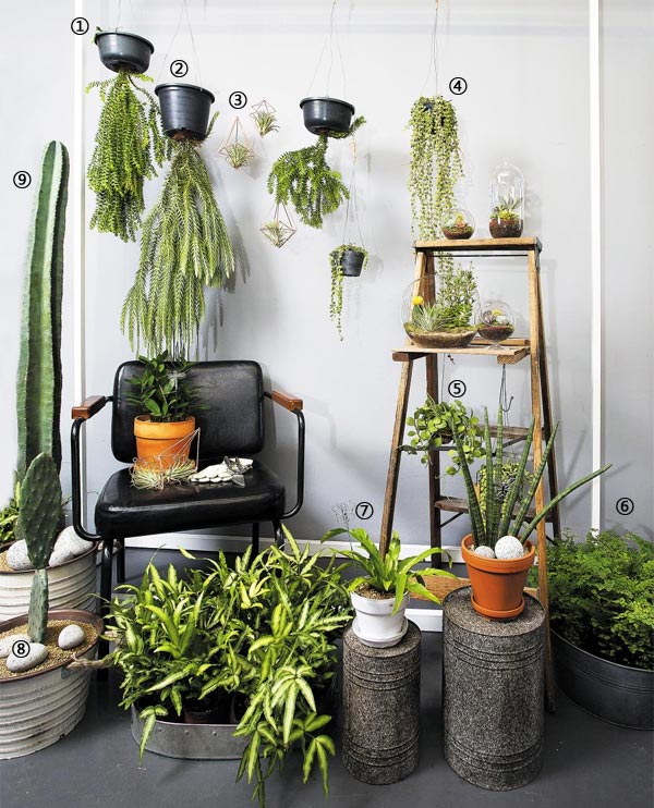 (�ð� ��������) ���ʷ��׸����� ��������� ��ƿ�� �괽�ľƸ������� ���õ�� ��Ƹ����� ���ƺ�(�뱹��) ��� �￬����. õ�忡 �Ŵ� ���߽Ĺ�, �Ʊ��ڱ��� �����Ĺ��� �̳� �� ���� �ڿ������� �ٹ� �׶󸮿�, ���� �ѱ����� ��� ������ �������� ������� ���� ���⸦ ���� �ľ��ְ�, �ʷϺ� ������ ������ ������ �������ش�. �Ĺ� ������ ��ġ�� õ��� �ƽ��� ������Ʈ ��ǥ�� �þҴ�.