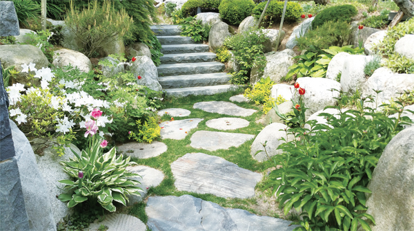 �ٻ� ���� �������� ���Ӱ� ������ ��ȹ����