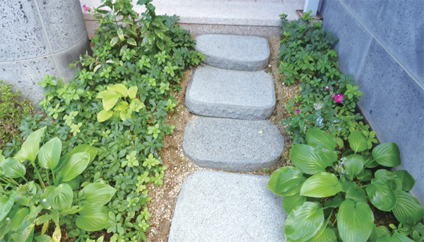 �������� ����� �ֺ����� ����, ��ȣ�� ���� ����Ǿ��� �ִ�.