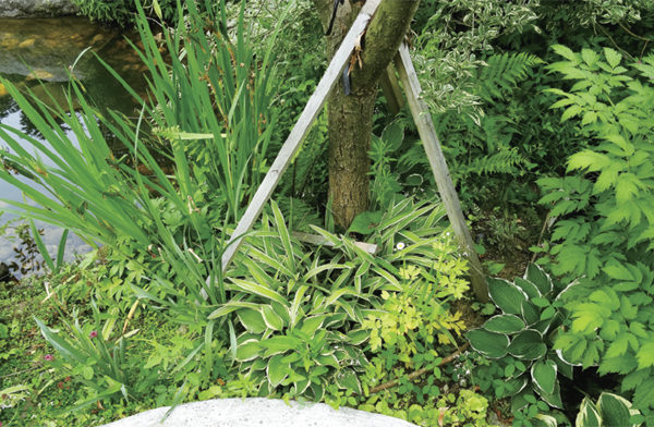 �㳪���Ʒ� �������� �� �����ϴ� ȣ��Ÿ, �����, ������ ���� �� ��췯�� �ڶ�� �ִ�.