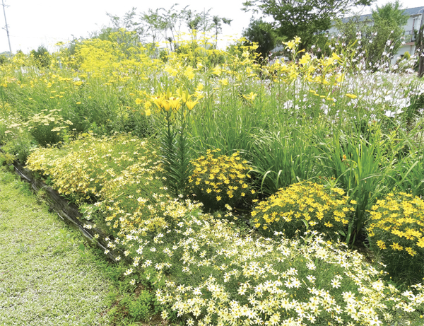 �㺽���� �������� ������� �����̴� Į������.