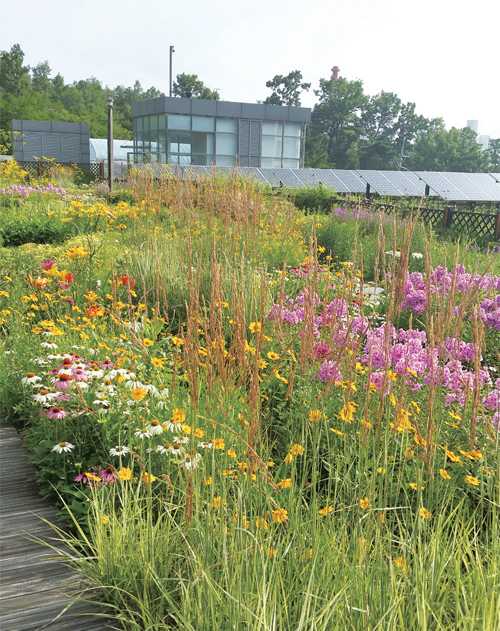 ��ȥ�ս��� �������� ���̻��� ��ü���� ������ �ε巴�� ���ִ� ������ ���ش�.