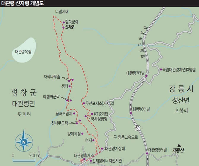 ����� ���ڷ� ���䵵