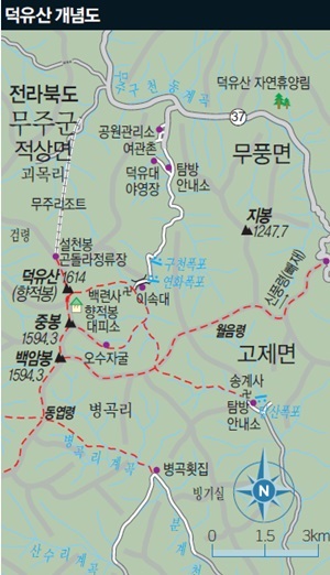 ������ ���䵵