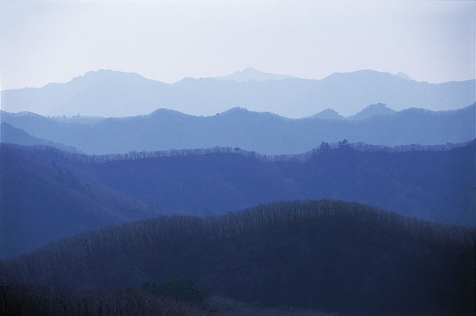 �밣���� ���� �Ϻ����� ���η� ������ �ٶ� ǳ��.