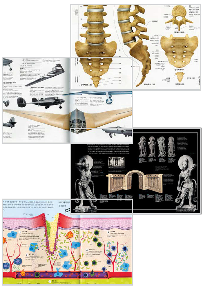 ����ü�����ǡ����Ǹ��ΰ���ġ���Ͳ�����.�� ����� ������������ �Ǹ����ô븦 �ռ��� �װ���顯������ �� �Ʒ��� �������� ���� ���� �۶��̴���ȣ���� H6 V2���� �λ����̴�. �Ŷ� ����������(����) ������ �ǹ̸� �����ϴ¡��ѱ���Ȱ��ڹ���5��.�� ��ü ���������� ��ó �� �Ǻΰ� ����Ǵ� ������ �����ִ� �׸�. �� ������ ������ �����̴�. �鹮�� �ҿ��ϰ�. ������ �����׷����� �ü��� �Ѿư���.