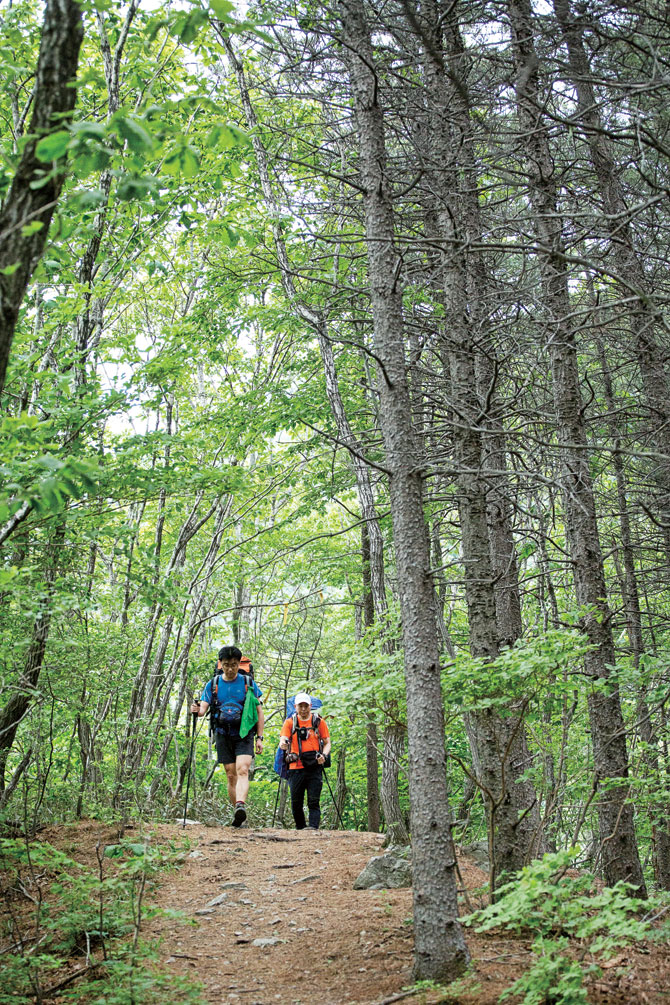 [���ʺ� Ż���! | ��ٸ� �����]