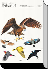 å ǥ�� �̹���