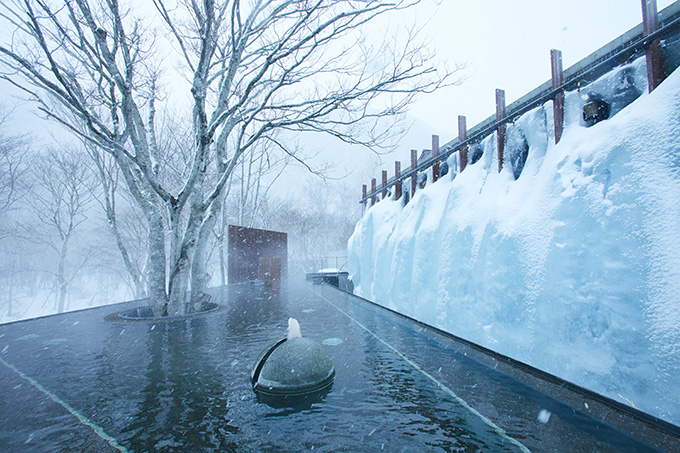 ���̶� ���� ��õ