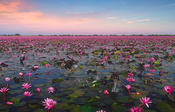 �±�����û, �±� ��� ������ũ ��� ����� �Բ��ϴ� �¶��� �̺�Ʈ ����/ ��������=�±�����û