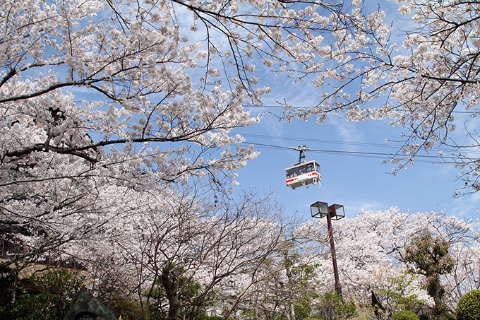 ������� ���������./ ������ó=����������