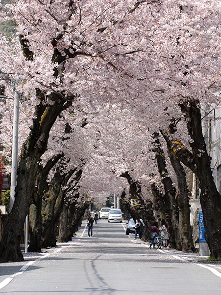 ��ī������./ ������ó=����������