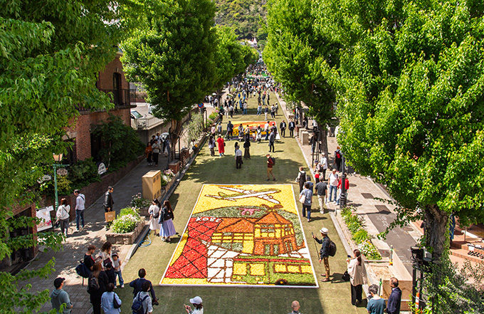 ���ǿ���Ÿ./ ������ó=����������