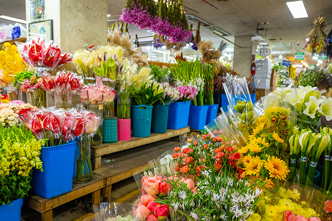 ���� ���� �� �� �ִ� ���� �ɽ���