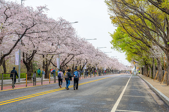 ���ǵ� ���߷ο� �� ����