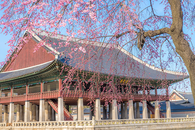 ���红�� �帮�� ��ȸ��