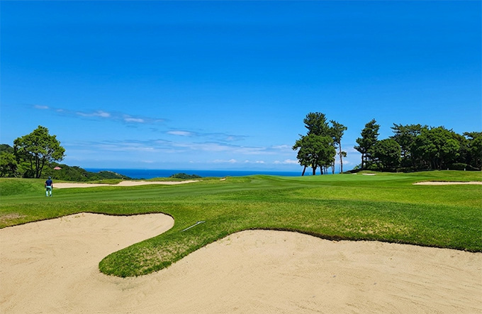 EAST �ڽ� 8��Ȧ./ ���� ����=�����ø��� ������ȸ.