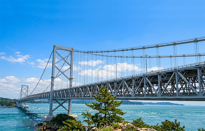 �����ø� �������� �뱳�� �� ������ �ҿ뵹��ġ�� ������ �ҿ뵹��./ ���� ����=�����ø��� ������ȸ.